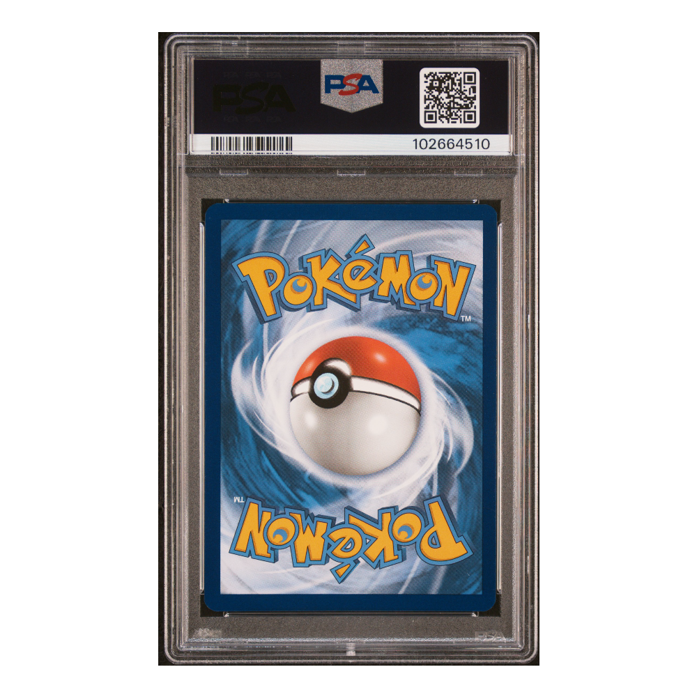 Pokemon - English - PSA 10 Koraidon ex 247 SVI + Free Slab Bumper