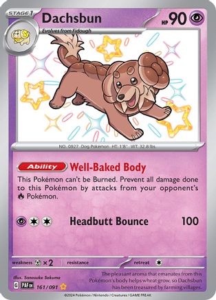 Dachsbun - 161/091 161 - SV Paldean Fates Holofoil