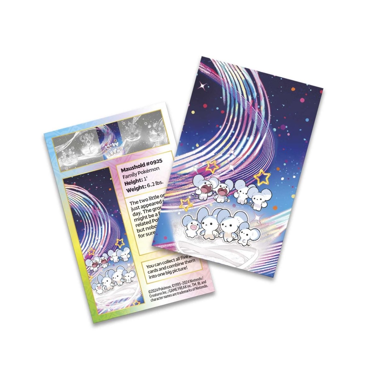 Pokemon English - Paldean Fates - Mini Tin [Maushold]