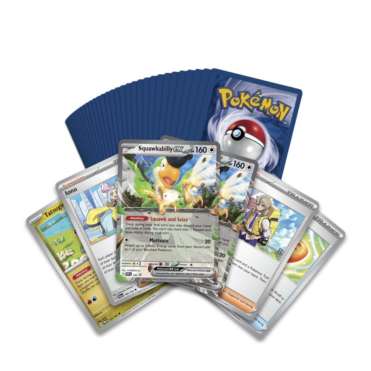 Pokemon TCG: 2024 - Squawkabilly ex [Trainer's Tool Kit Box]