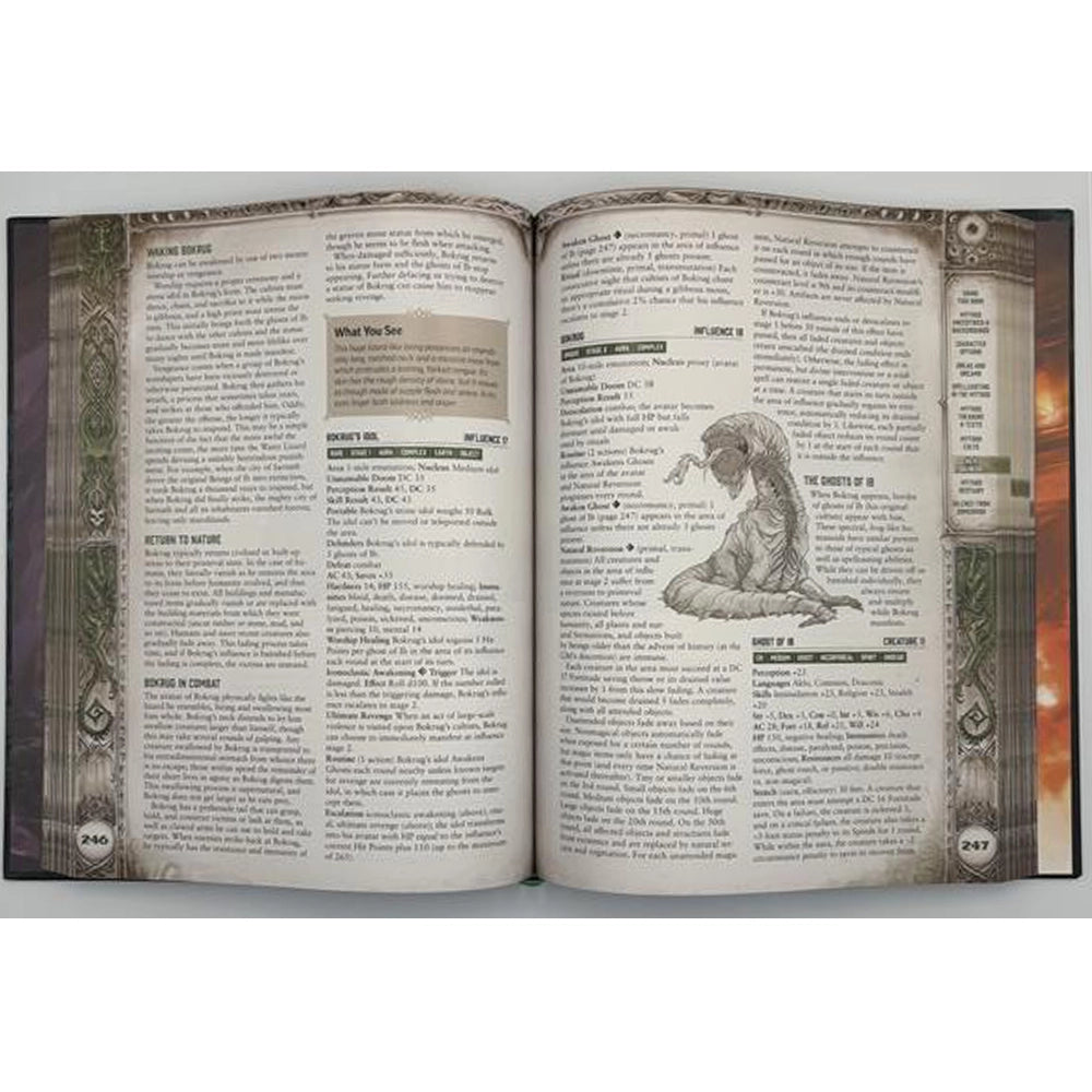 Dungeons & Dragons: Peterson Games Cthulhu Mythos - Pathfinder [Book]