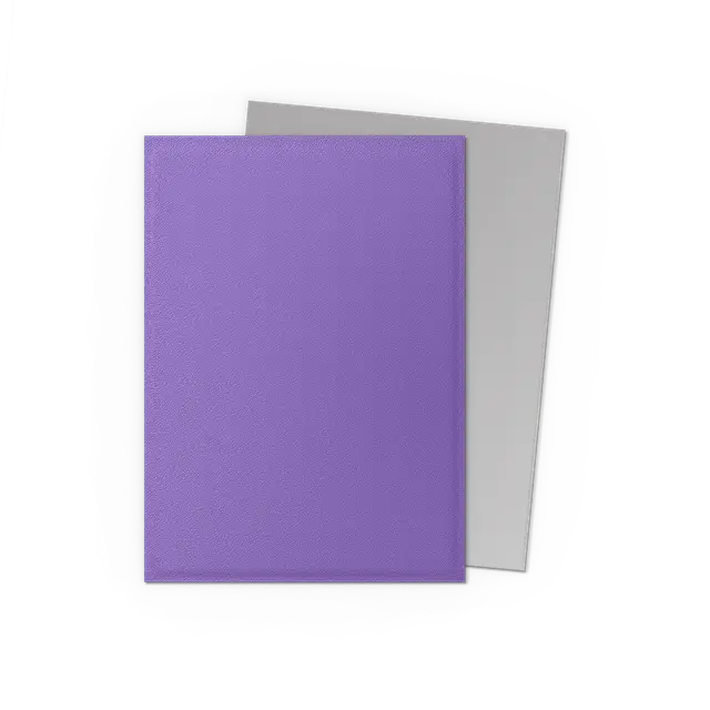 Dragon Shield: Matte Dual - Nebula & Silver [Sleeves] Dragon Shield